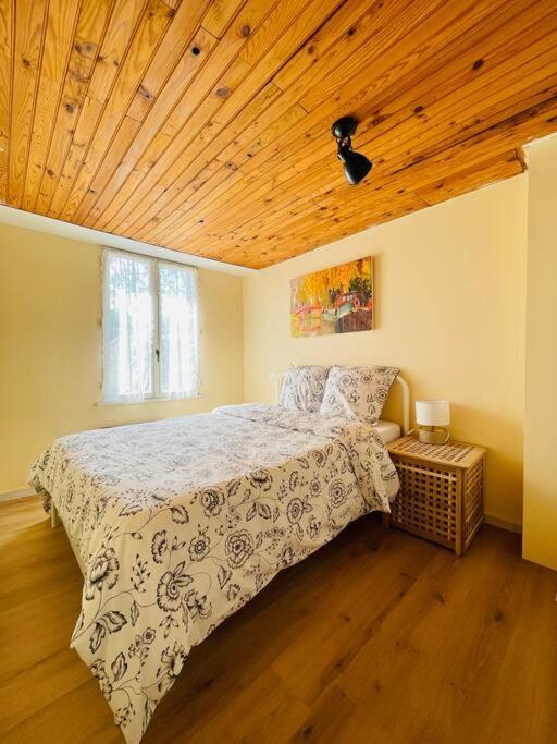 Chez-Yu Cite Villa Carcassonne Eksteriør bilde